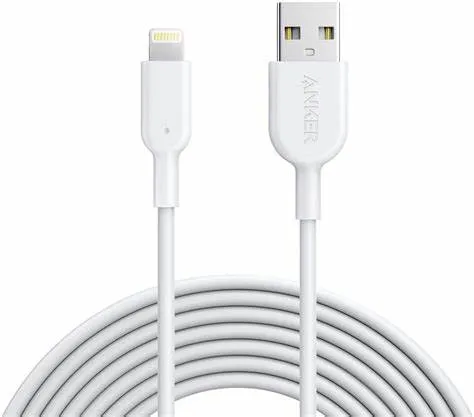 أنكر POWERLINE II لايتننج كابل 10FT UN (A8434H11) - أسود — أبيض